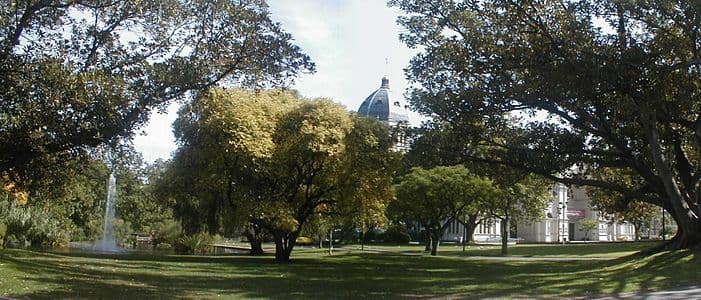 Carlton Gardens 